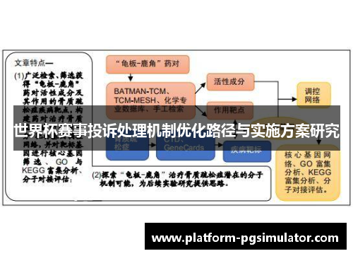 世界杯赛事投诉处理机制优化路径与实施方案研究