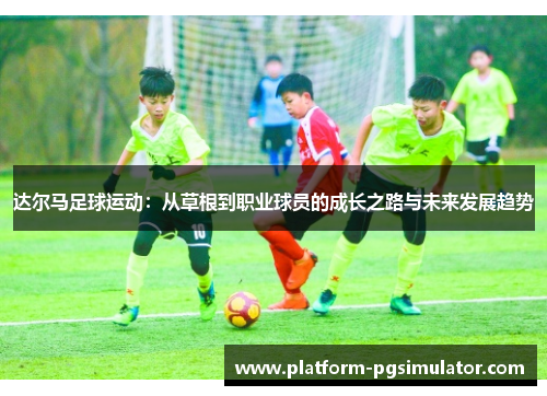 达尔马足球运动：从草根到职业球员的成长之路与未来发展趋势