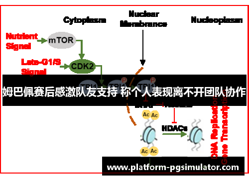 姆巴佩赛后感激队友支持 称个人表现离不开团队协作