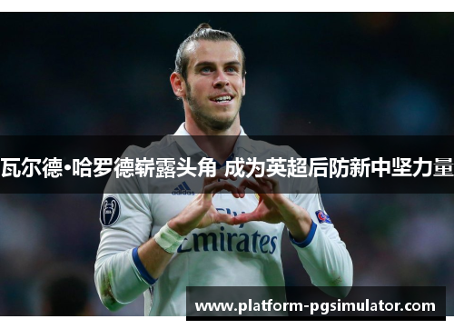 瓦尔德·哈罗德崭露头角 成为英超后防新中坚力量