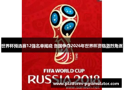 世界杯预选赛12强名单揭晓 各国争夺2026年世界杯资格激烈角逐
