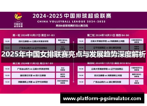 2025年中国女排联赛亮点与发展趋势深度解析