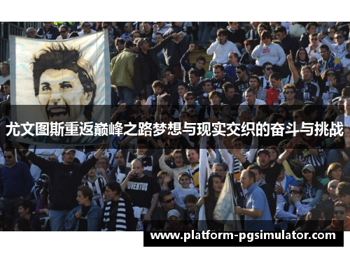 尤文图斯重返巅峰之路梦想与现实交织的奋斗与挑战