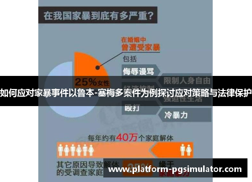 如何应对家暴事件以鲁本-塞梅多案件为例探讨应对策略与法律保护