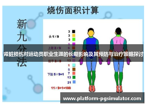 肾脏损伤对运动员职业生涯的长期影响及其预防与治疗策略探讨