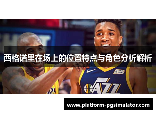西格诺里在场上的位置特点与角色分析解析