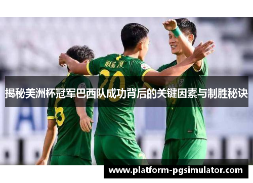 揭秘美洲杯冠军巴西队成功背后的关键因素与制胜秘诀