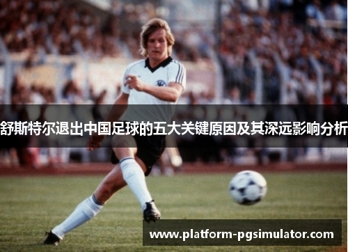舒斯特尔退出中国足球的五大关键原因及其深远影响分析 舒斯特尔退出中国足球的五大关键原因及其深远影响分析