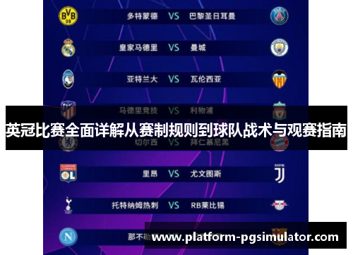 英冠比赛全面详解从赛制规则到球队战术与观赛指南